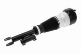 Air Suspension Strut - V30-50-0044