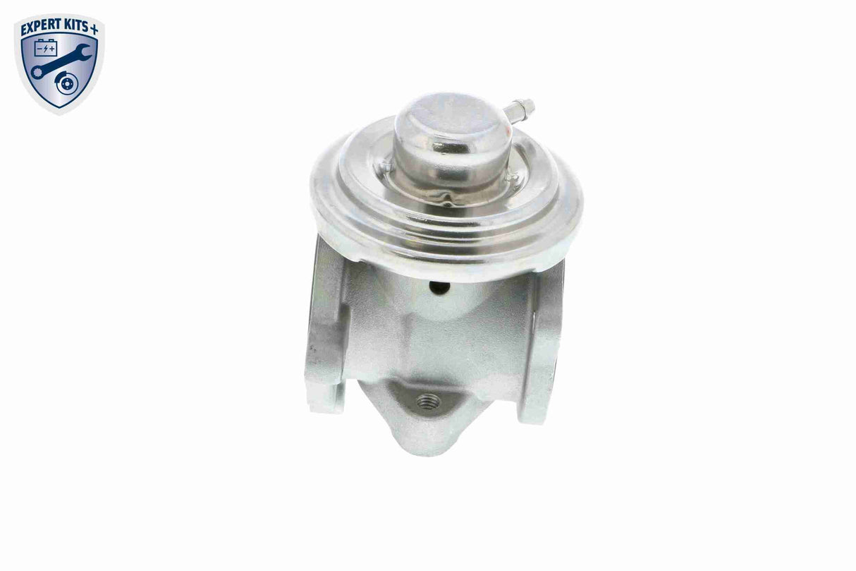 Valve, exhaust gas recirculation - V10-63-0031