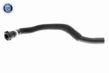 Radiator Hose - V20-1309