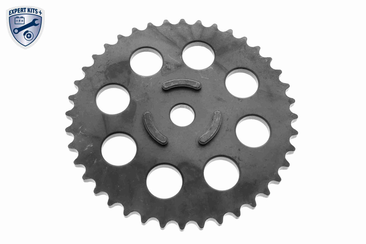 Timing Chain Kit - V10-10008