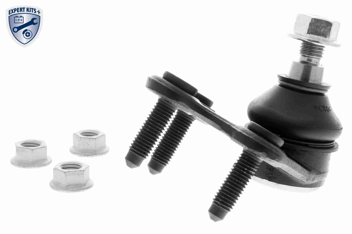 Control/Trailing Arm, wheel suspension - V10-3145