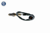 Oxygen Sensor - V53-76-0007