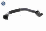 Radiator Hose - V20-3865