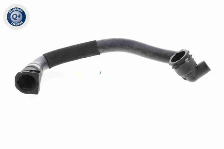 Radiator Hose - V20-3865