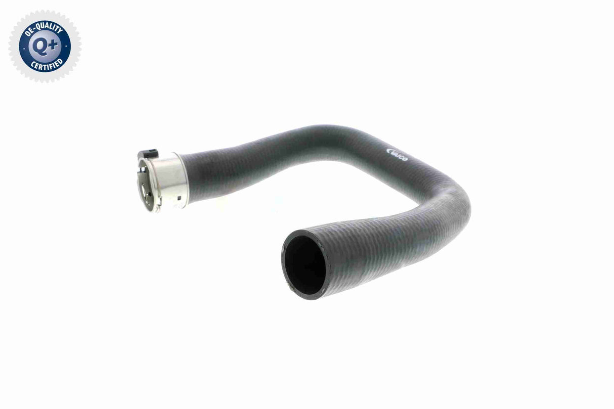 Charge Air Hose - V40-1361