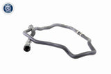 Radiator Hose - V20-1287