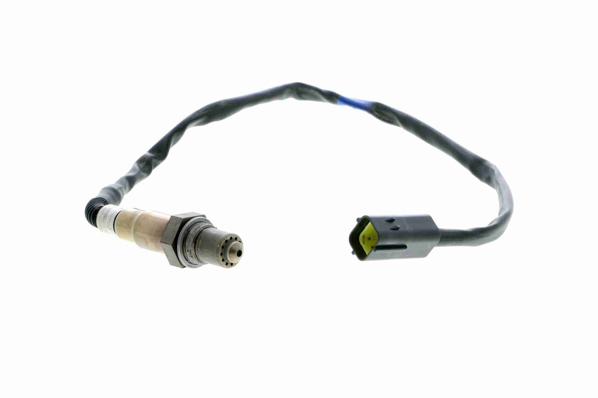 Oxygen Sensor - V52-76-0021