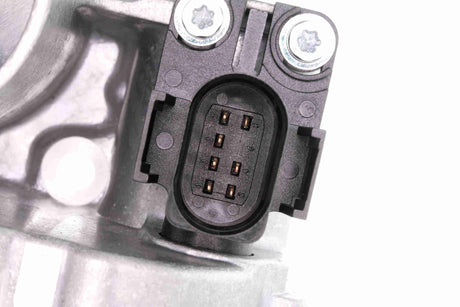 Throttle Body - V10-81-0001-1