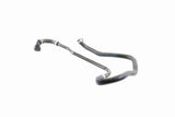Radiator Hose - V20-0888