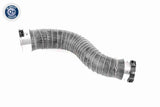 Charge Air Hose - V20-2966