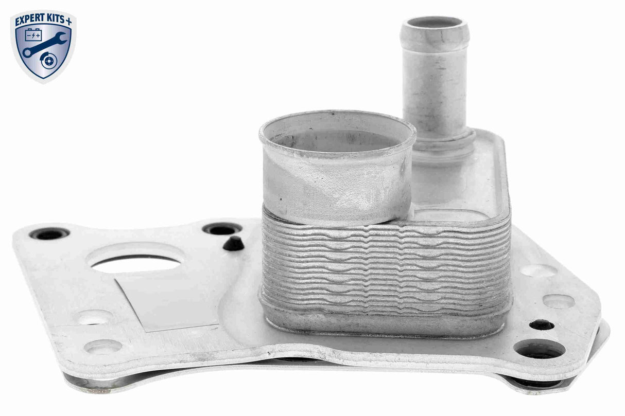 Oil Cooler, engine oil - V30-60-0008