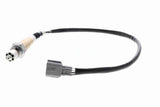Oxygen Sensor - V46-76-0031