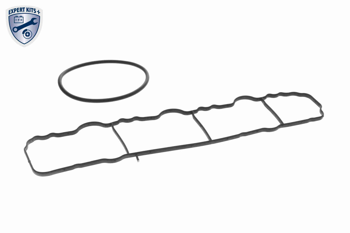 Intake Manifold Module - V30-4255