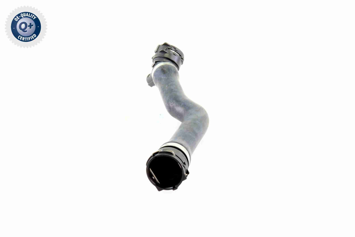 Radiator Hose - V20-1763