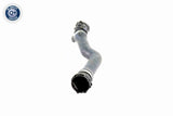 Radiator Hose - V20-1763