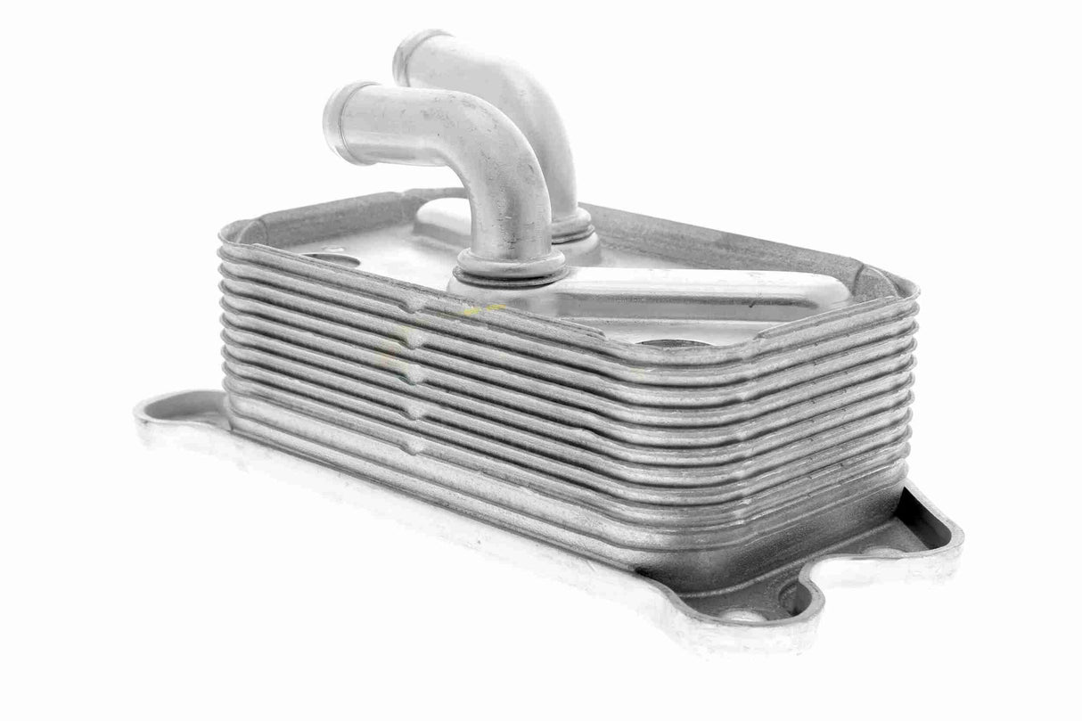 Oil Cooler, engine oil - V95-60-0013
