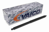 Gas Spring, boot/cargo area - V20-3935