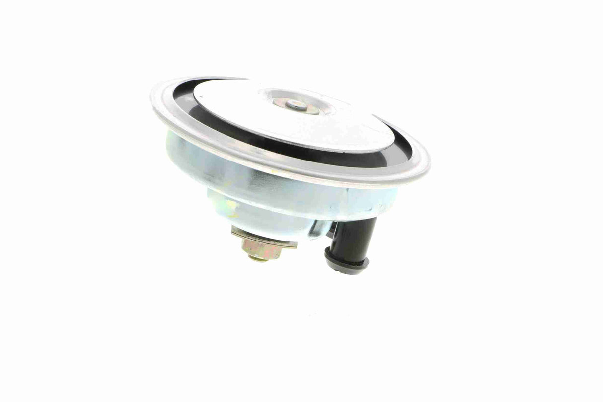 Signal Horn - V10-77-0916