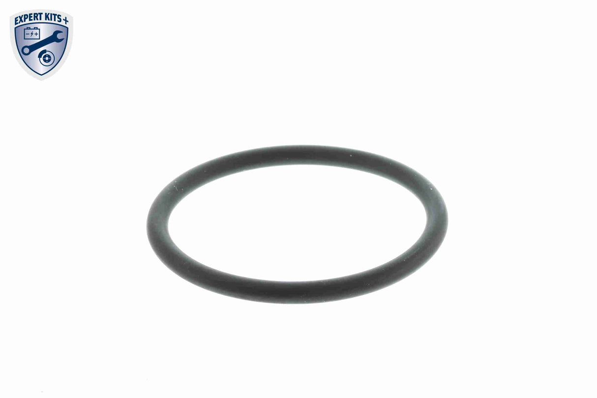 Thermostat, coolant - V15-99-2060