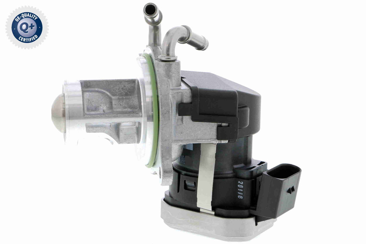Valve, exhaust gas recirculation - V30-63-0008