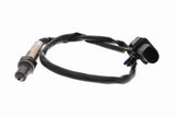 Oxygen Sensor - V25-76-0043
