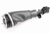 Air Suspension Strut - V48-50-0002