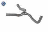 Hose, crankcase ventilation - V25-1242