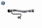 Radiator Hose - V20-1295