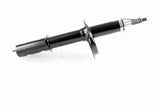Shock Absorber - V22-0541