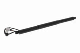 Electric Motor, tailgate - V51-55-0005