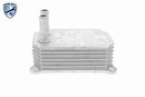Oil Cooler, engine oil - V25-60-0033
