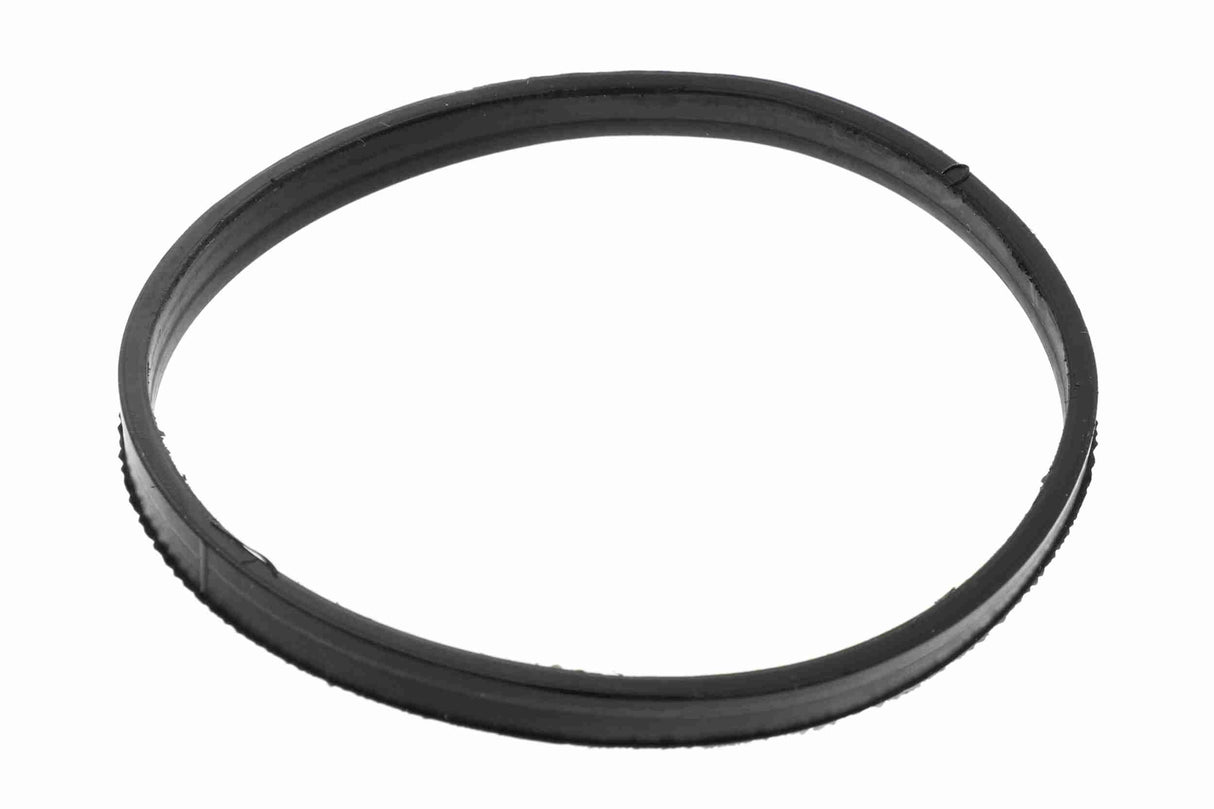 Gasket, throttle body - V20-81-0047