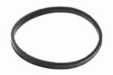Gasket, throttle body - V20-81-0047