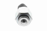 Switch, reverse light - V25-73-0145
