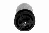 Air Suspension Strut - V20-50-0019-1