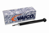 Shock Absorber - V10-5673