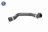 Radiator Hose - V20-1329