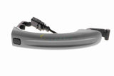 Exterior Door Handle - V10-85-0065