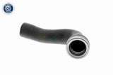 Charge Air Hose - V10-3769
