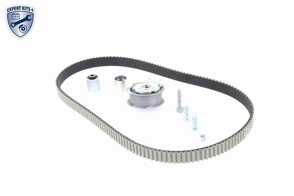 Timing Belt Kit - V10-4233