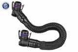 Radiator Hose - V58-0094