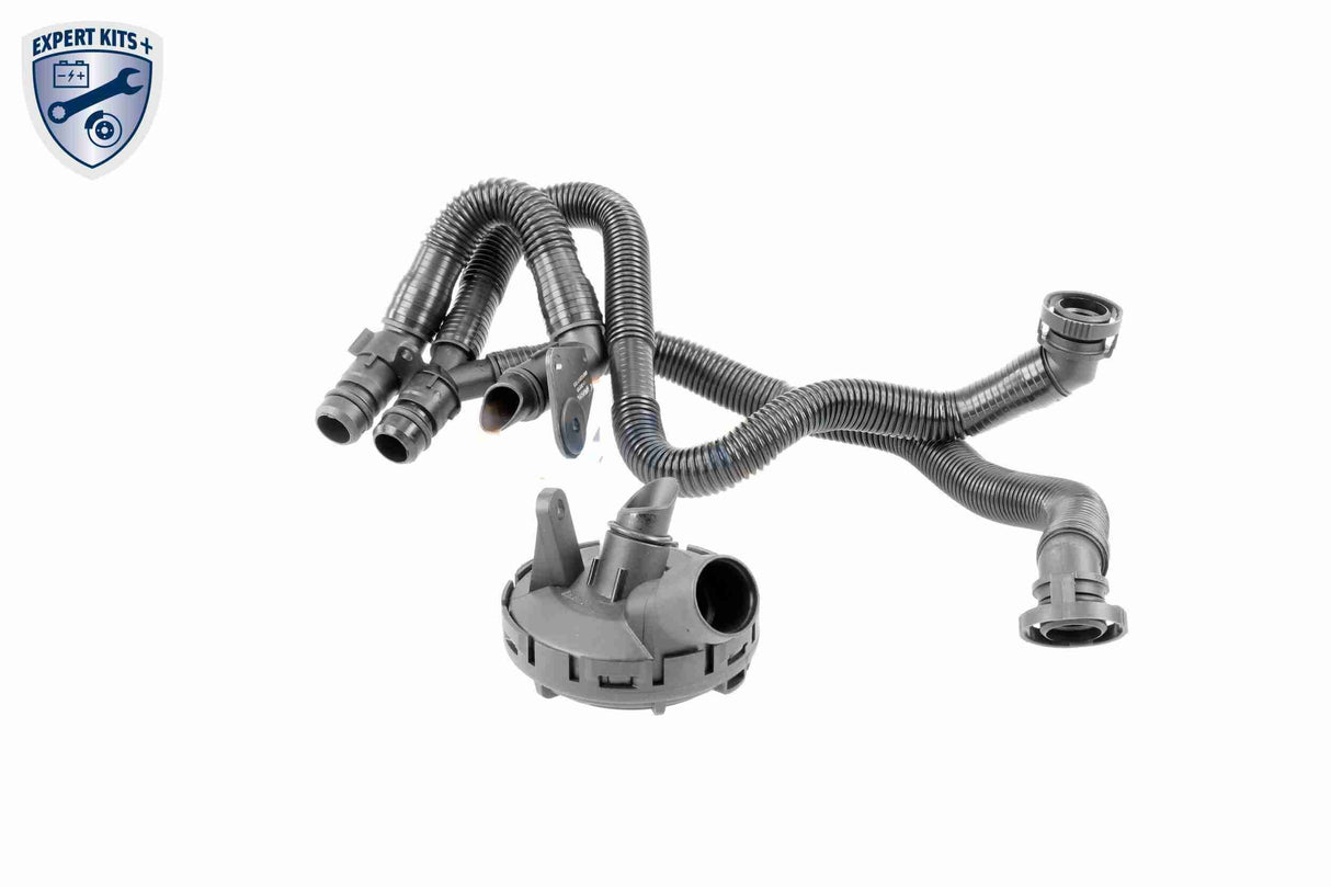 Repair Kit, crankcase ventilation - V10-6492