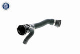 Radiator Hose - V20-1271