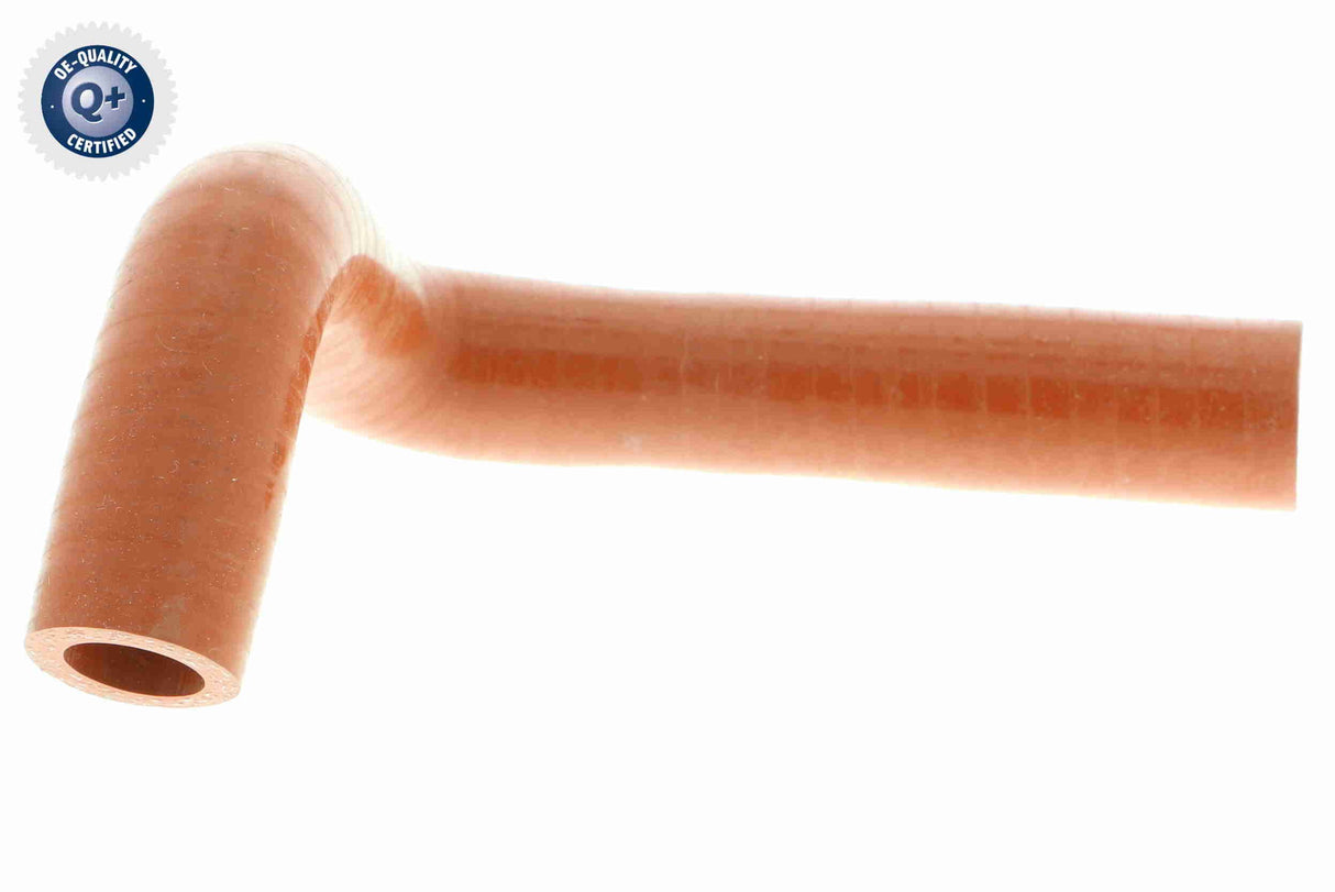 Charge Air Hose - V24-0736