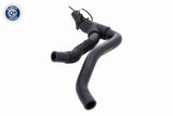 Radiator Hose - V46-1610
