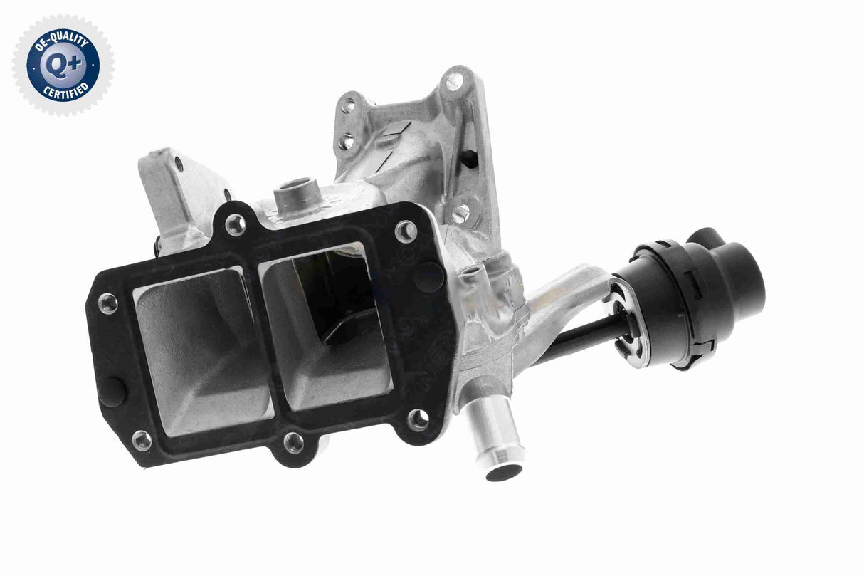 Valve, exhaust gas recirculation - V30-63-0080