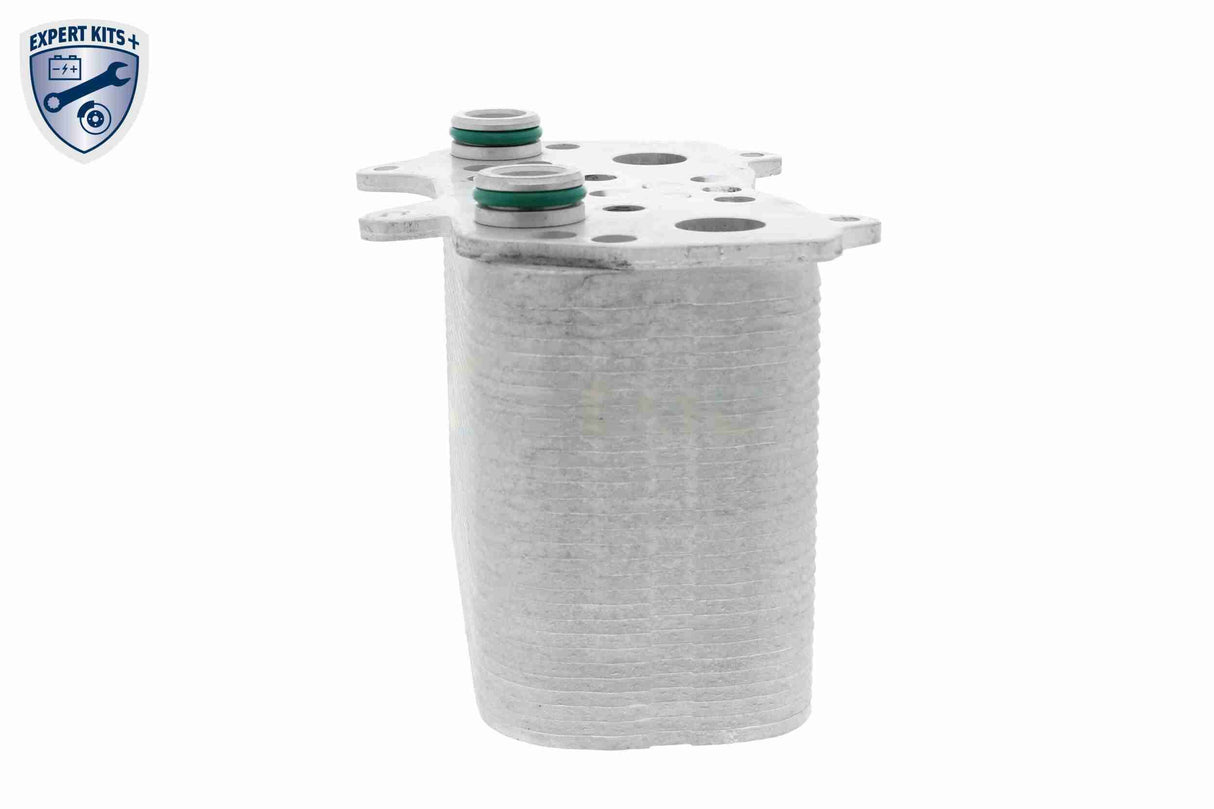 Oil Cooler, automatic transmission - V45-60-0001