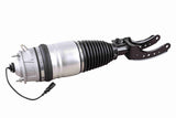 Air Suspension Strut - V10-50-0006