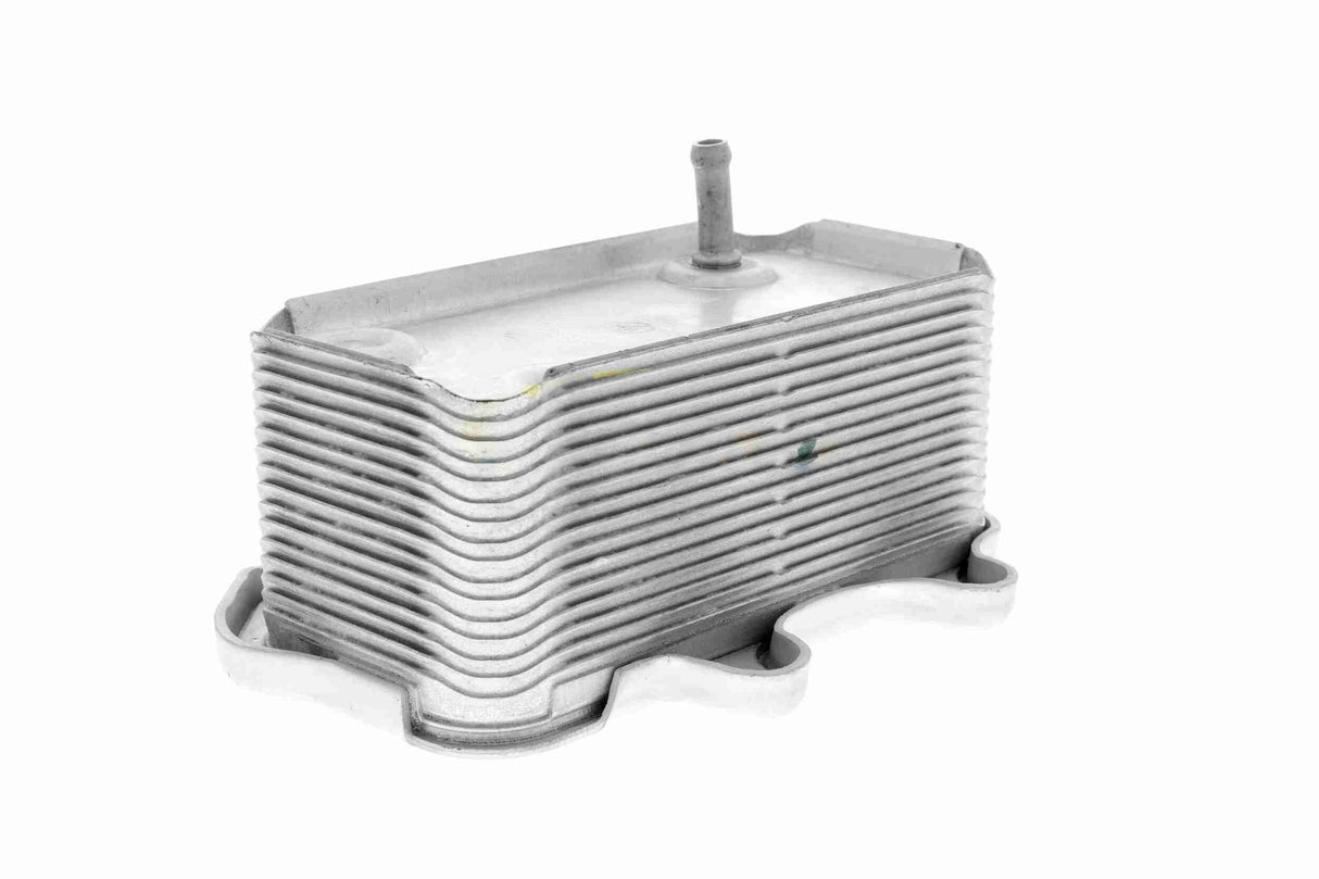 Oil Cooler, engine oil - V45-60-0003