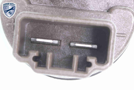 Fuel Pump - V46-09-0020